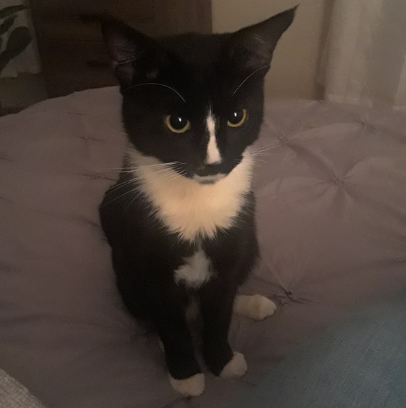 Meet your Posher, Johann - Picture 7 of 8